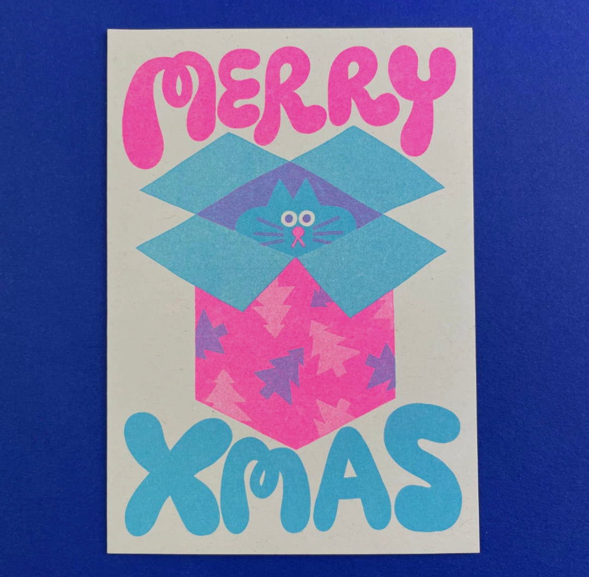 Cat in A Box Christmas Card