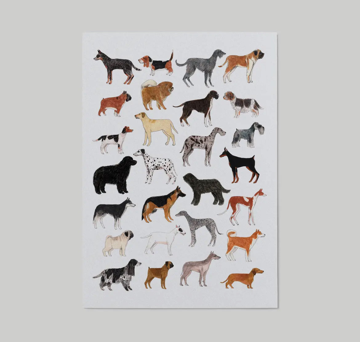 Cat Breeds Art Print