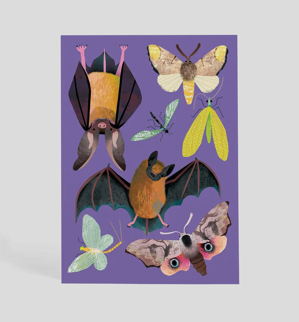 Bats At Dusk Postcard