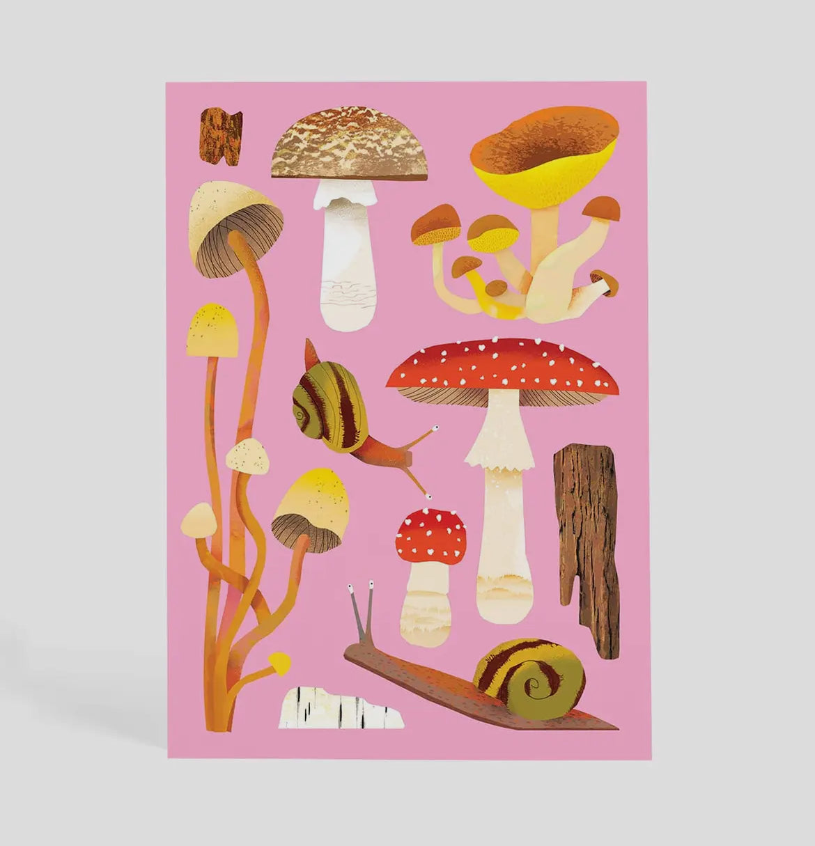Woodland Fungi Postcard