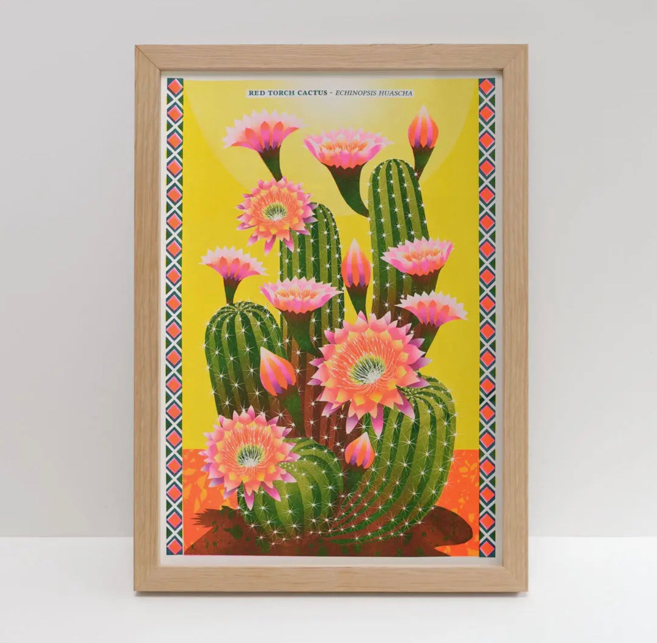 Cactus A3 Risograph Print