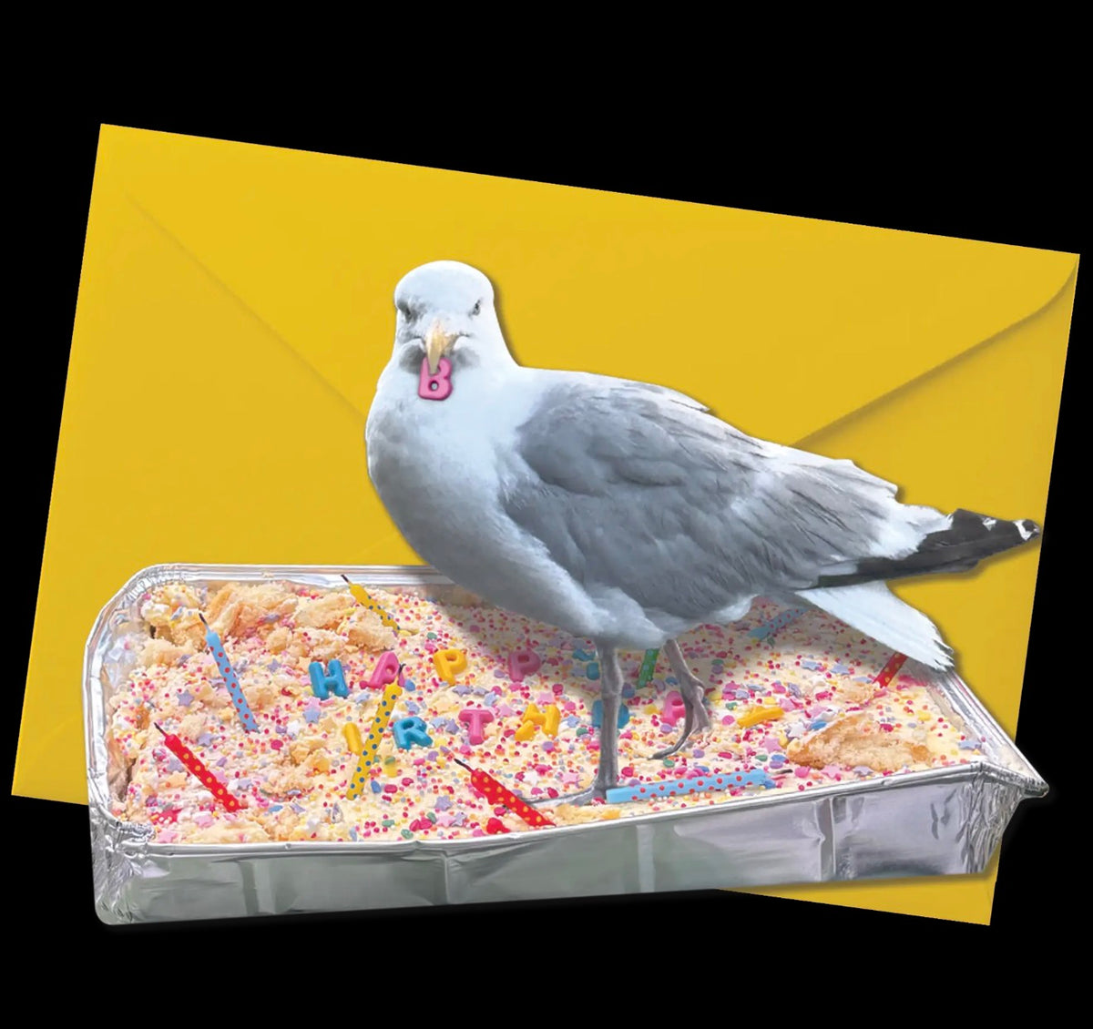 Seagull Cake Card