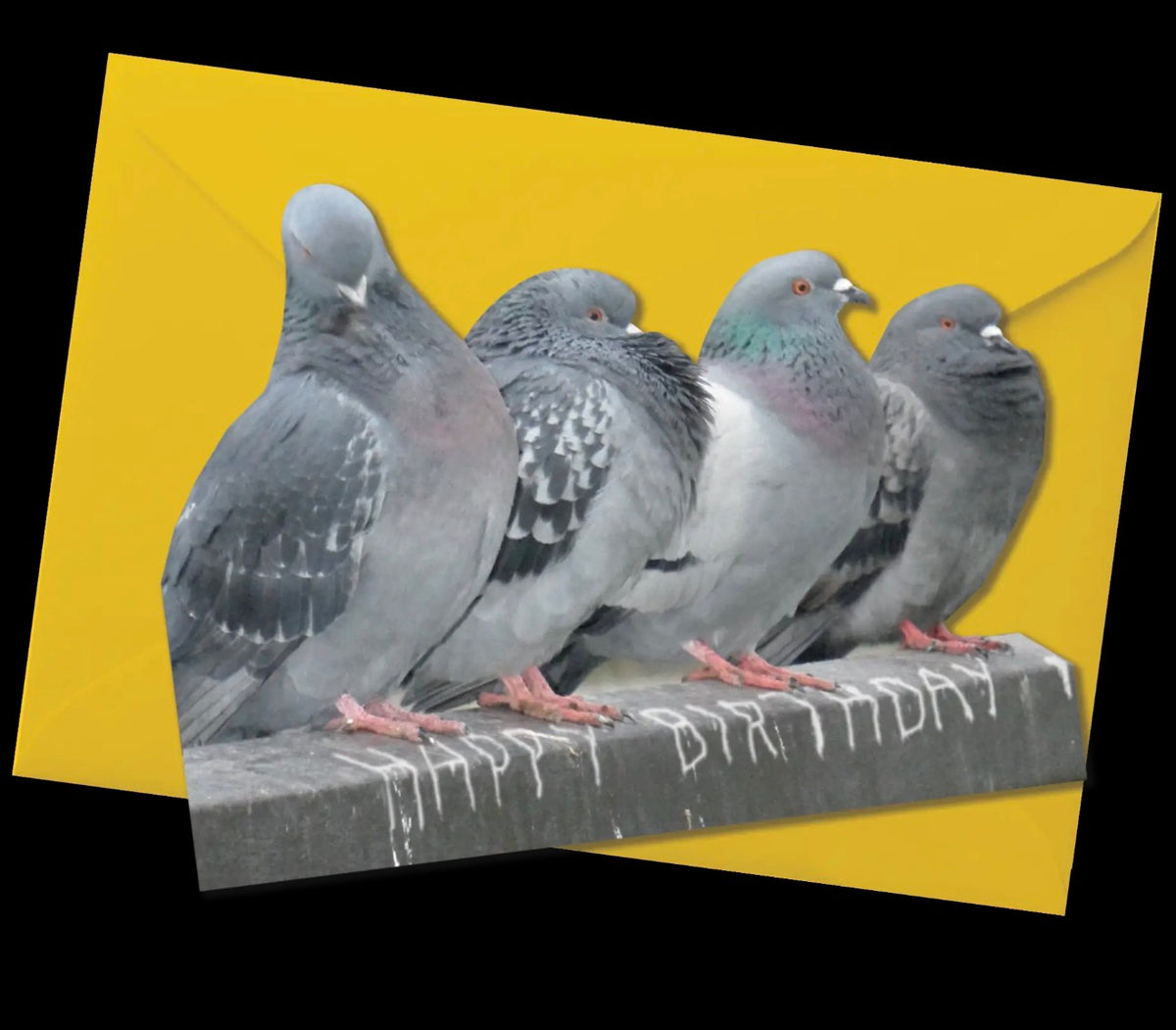Birthday Pigeons Card