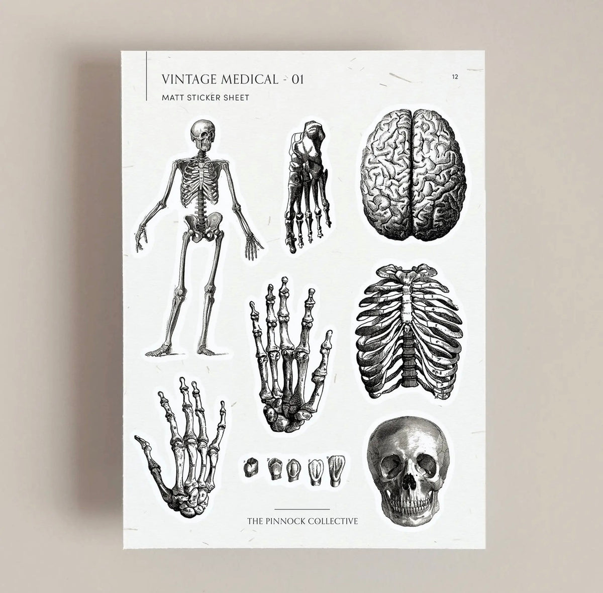 Vintage Medical Sticker Sheet