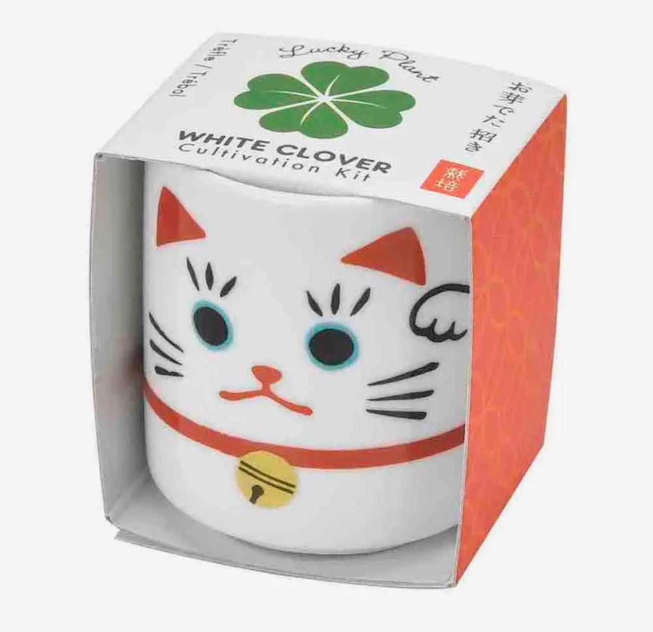 Lucky Plant Beckoning Cat