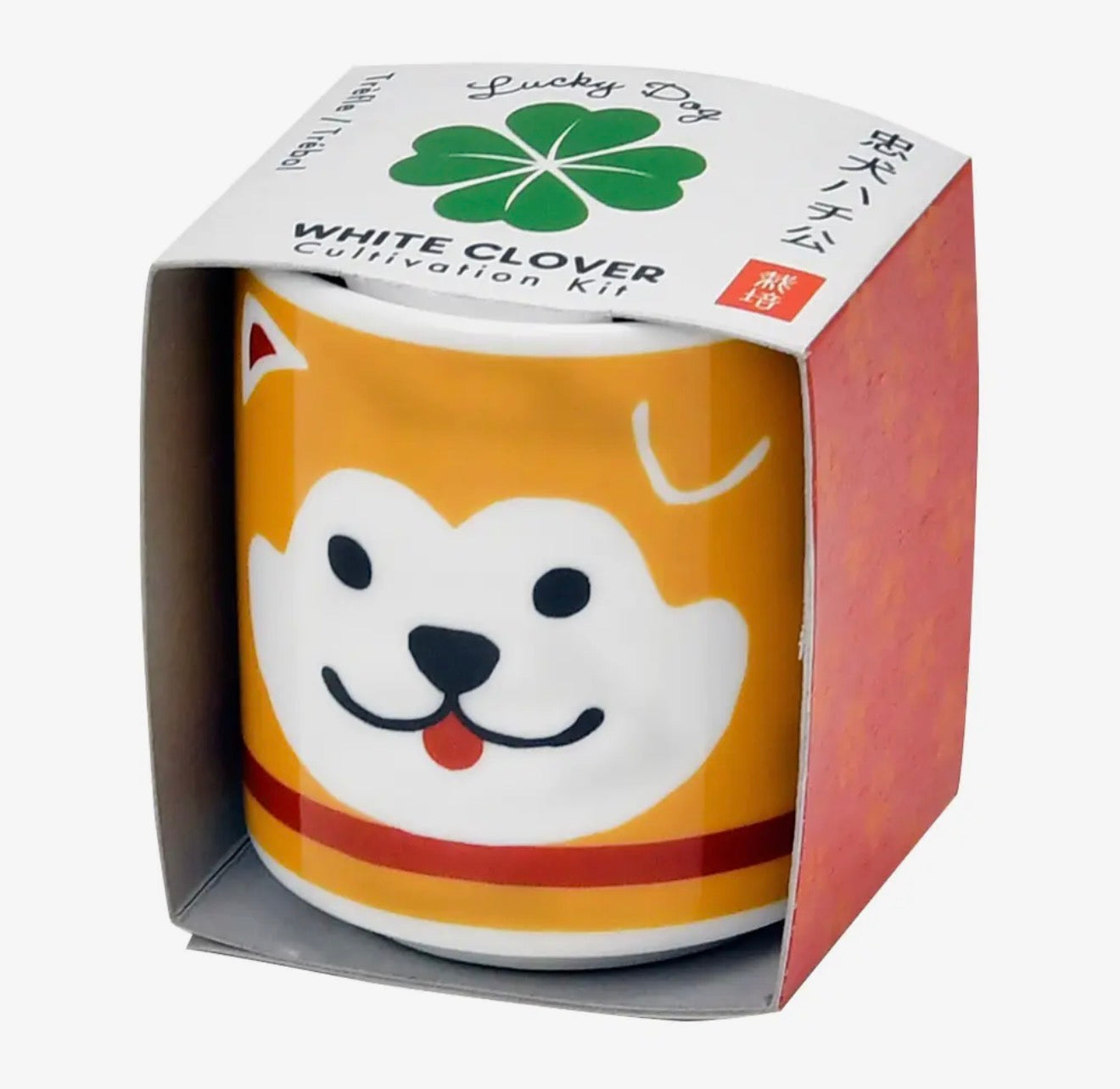 Lucky Plant Hachi Dog