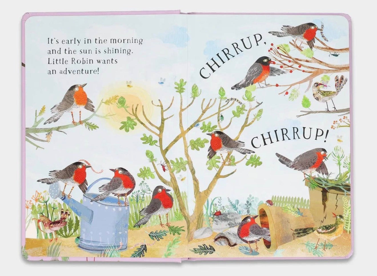 Little Robin's Book of Birds