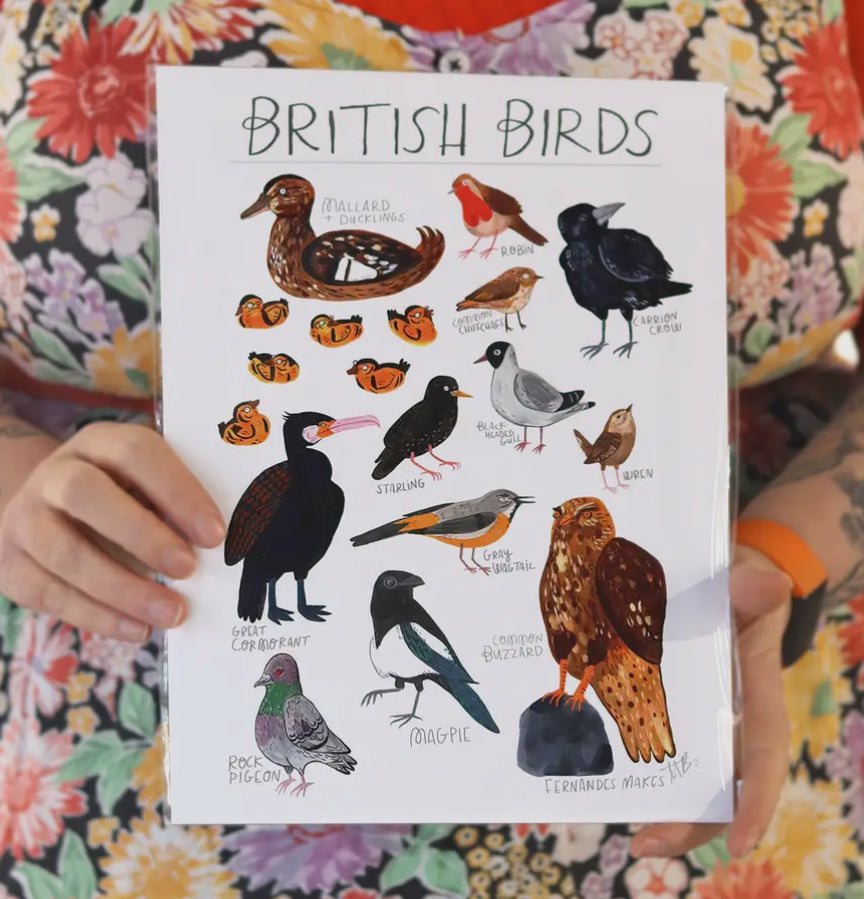 British Birds Hand Painted Art Print