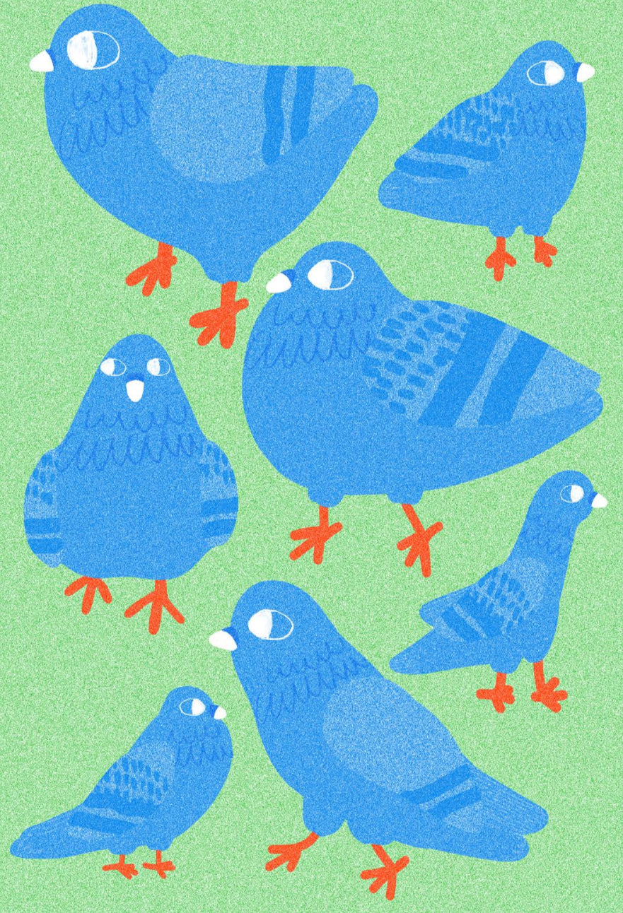 City Pigeons Print