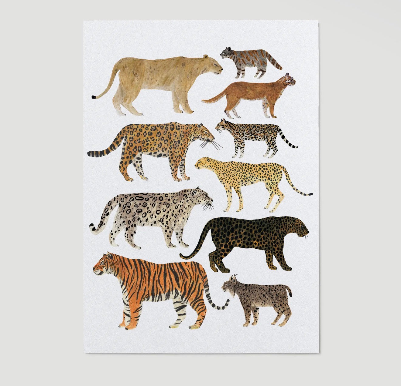 Wild Cats Art Print