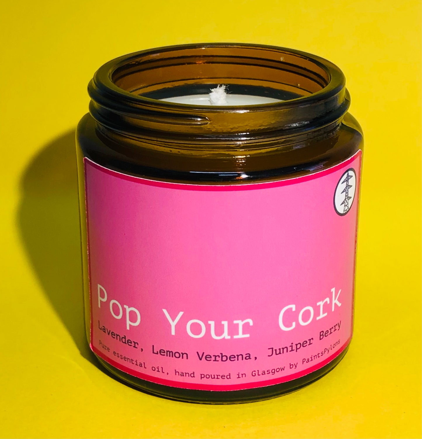 PaintsPylons Festive Jar Candle