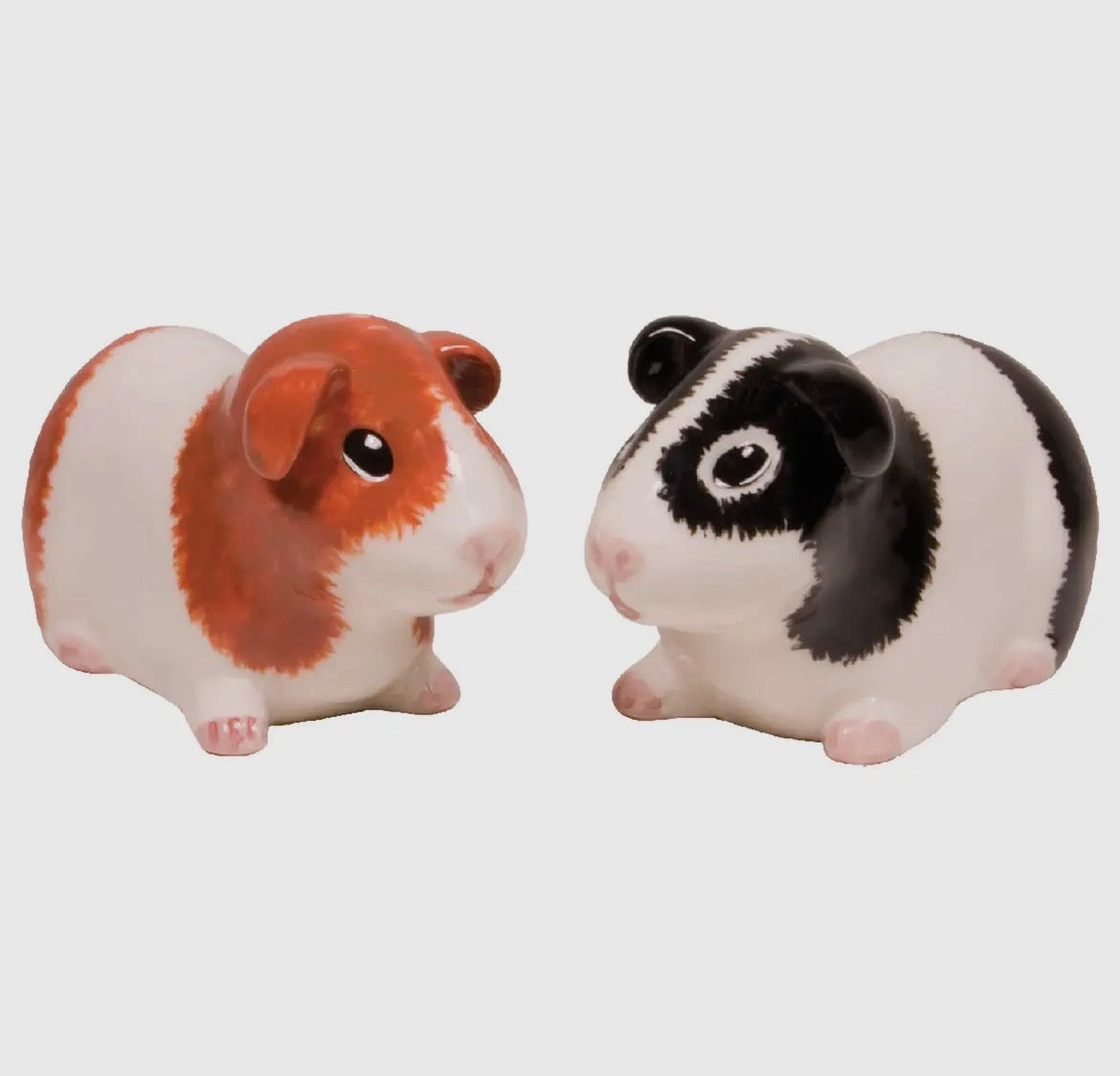 Guinea Pig Salt & Pepper Set