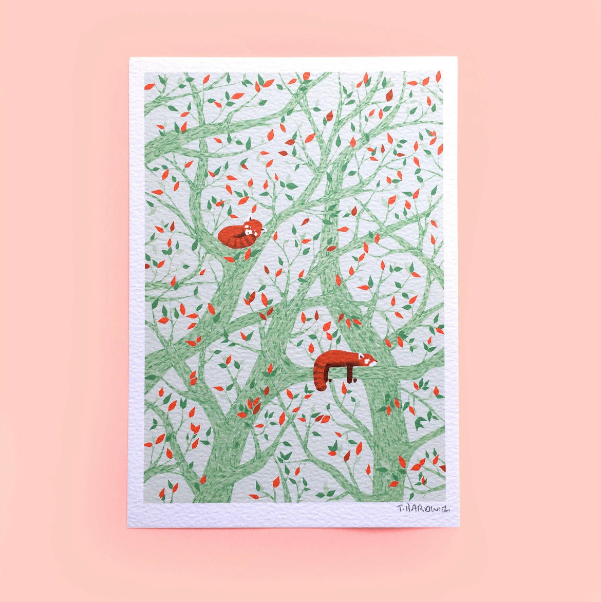 Snoozing Red Pandas A5 Print