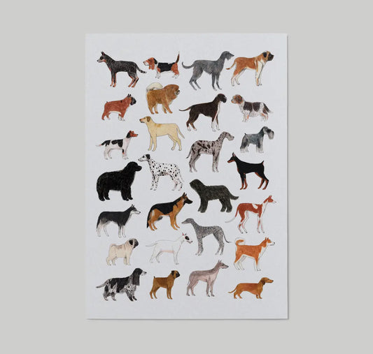 Dog Breeds Art Print