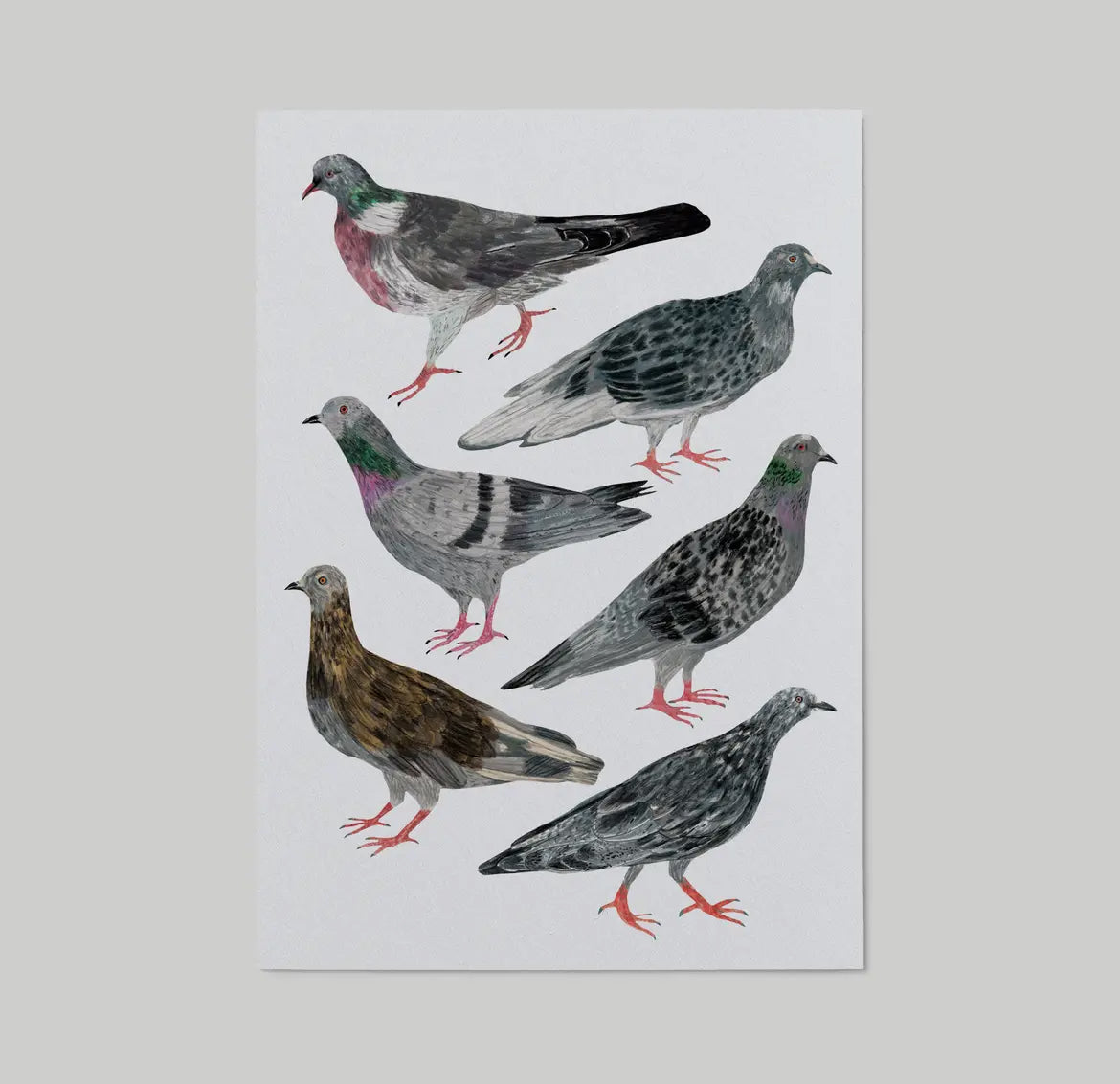 Pigeons Art Print