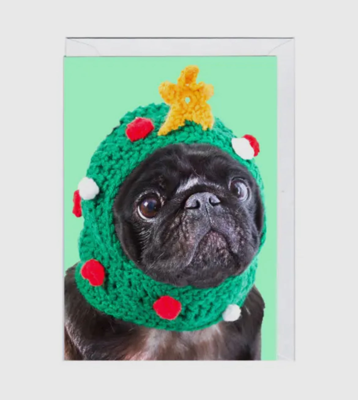 Pug Xmas Card