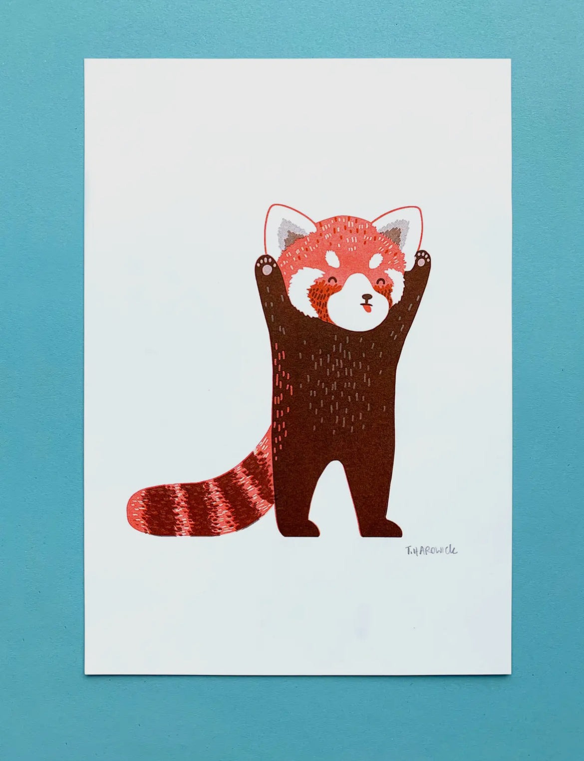 Cheeky Red Panda Risograph Print