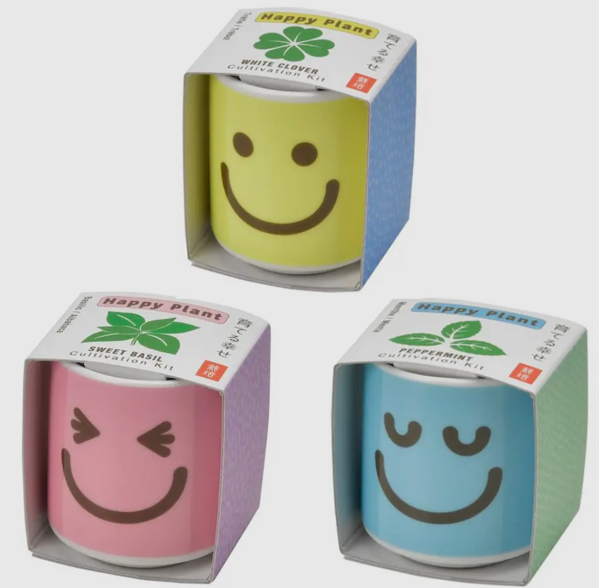Happy Plant