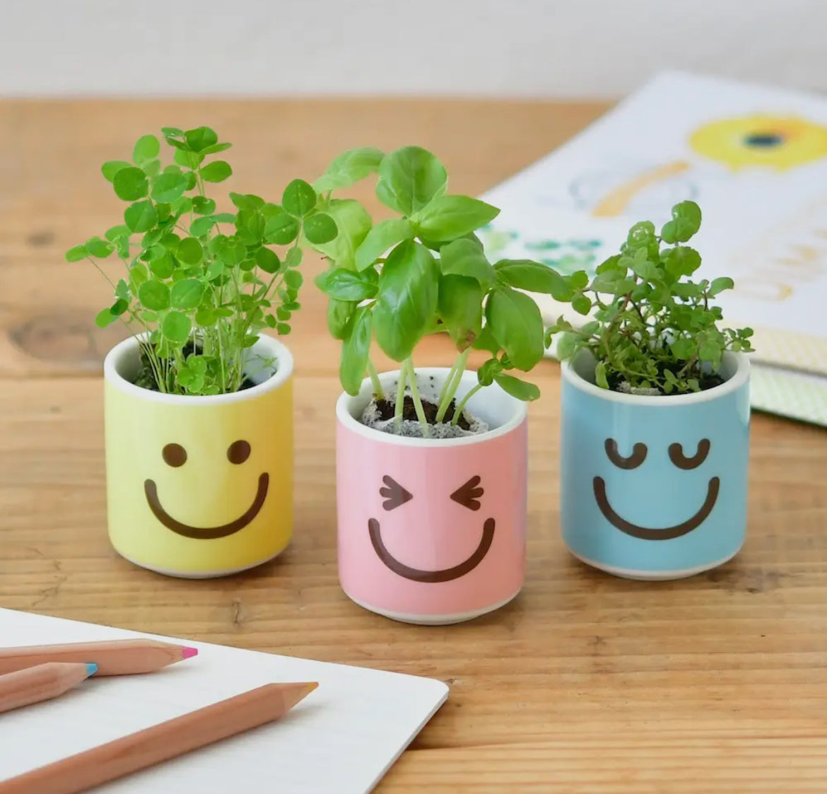Happy Plant