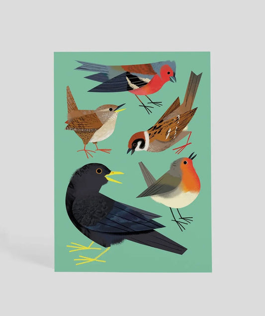 Songbirds At Dawn Postcard