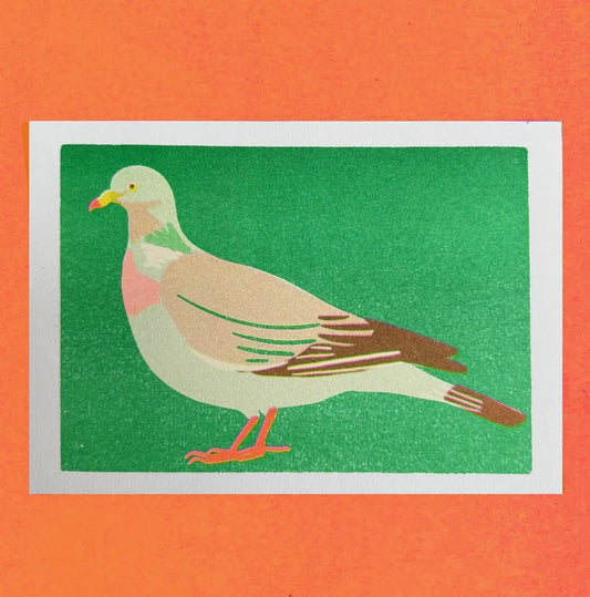 Wood Pigeon A5 Print