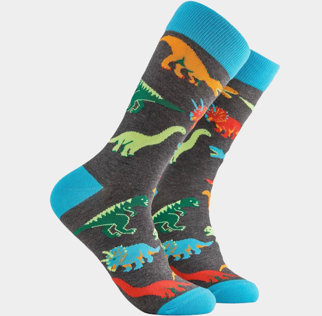 Dinosaur Socks - Jurassic
