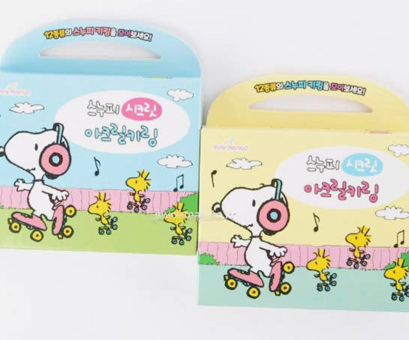 Snoopy Secret Double Acrylic Keyring Random Box