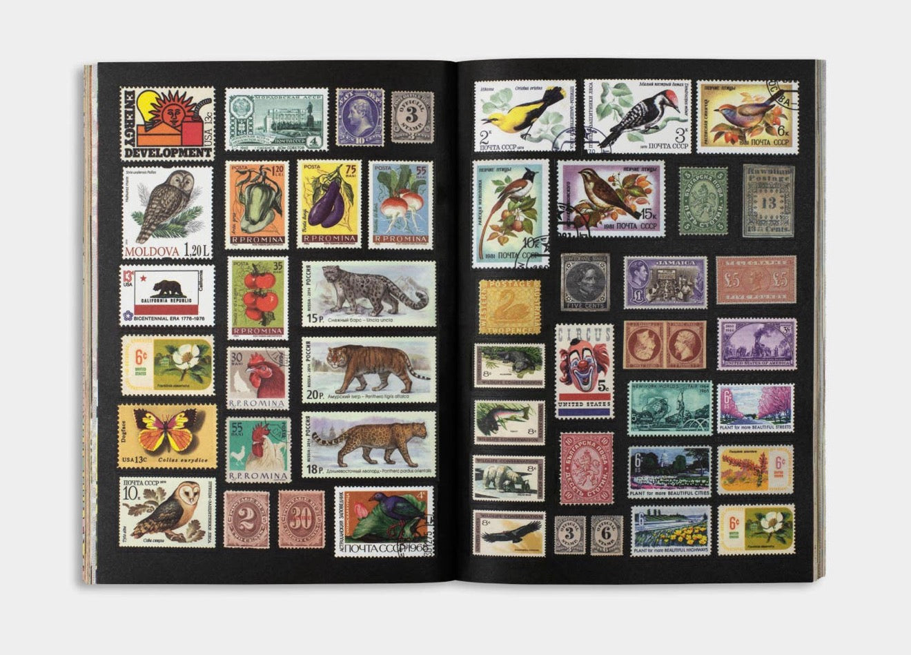 The Curious Collections Sticker Book
