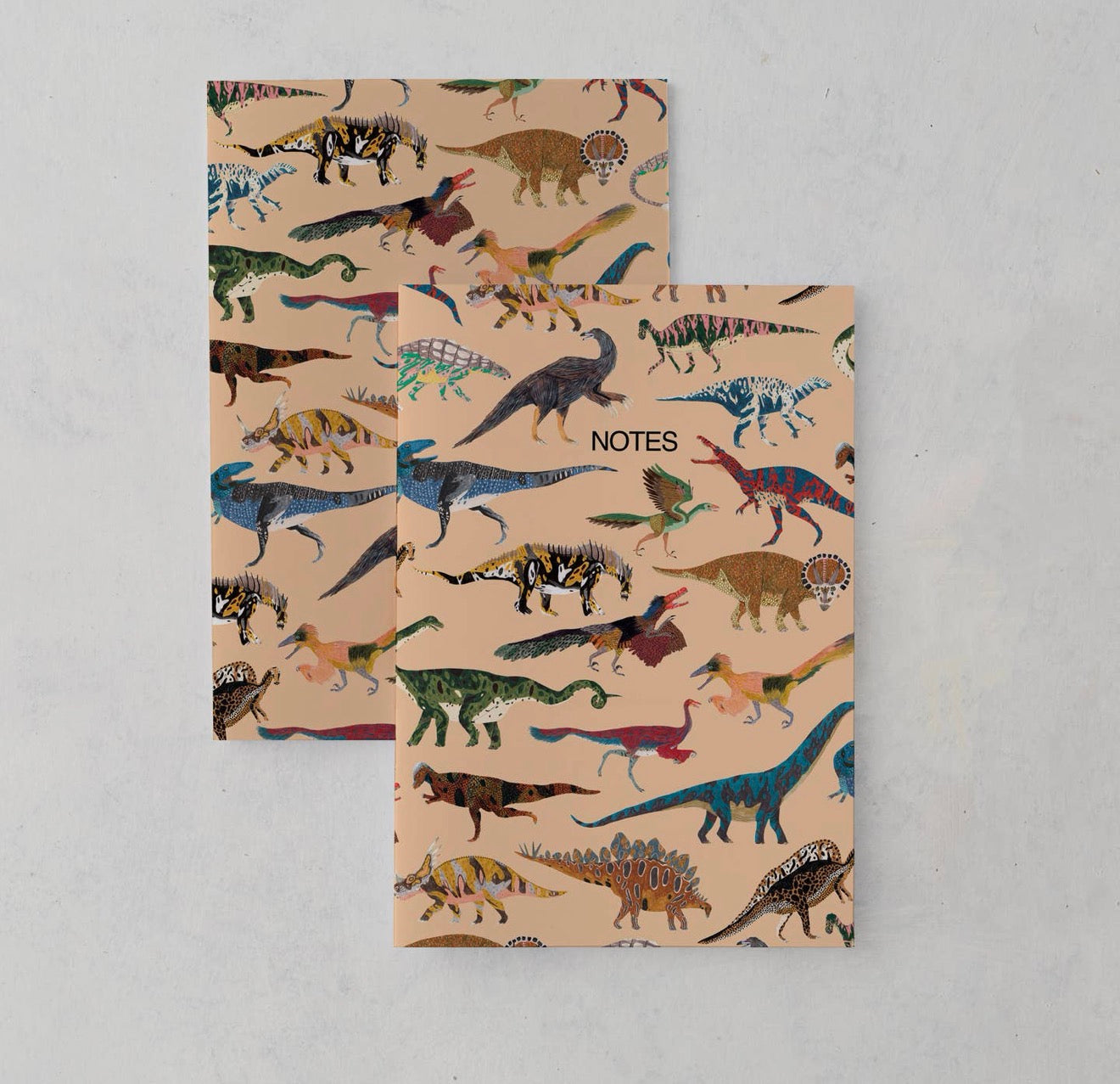 Dinosaur Notebook