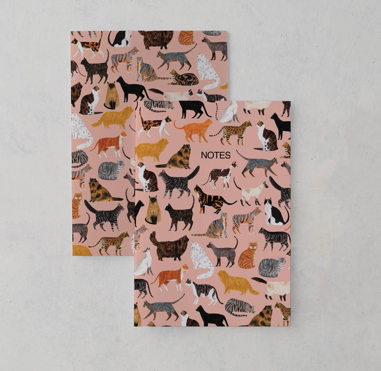 Cats Notebook