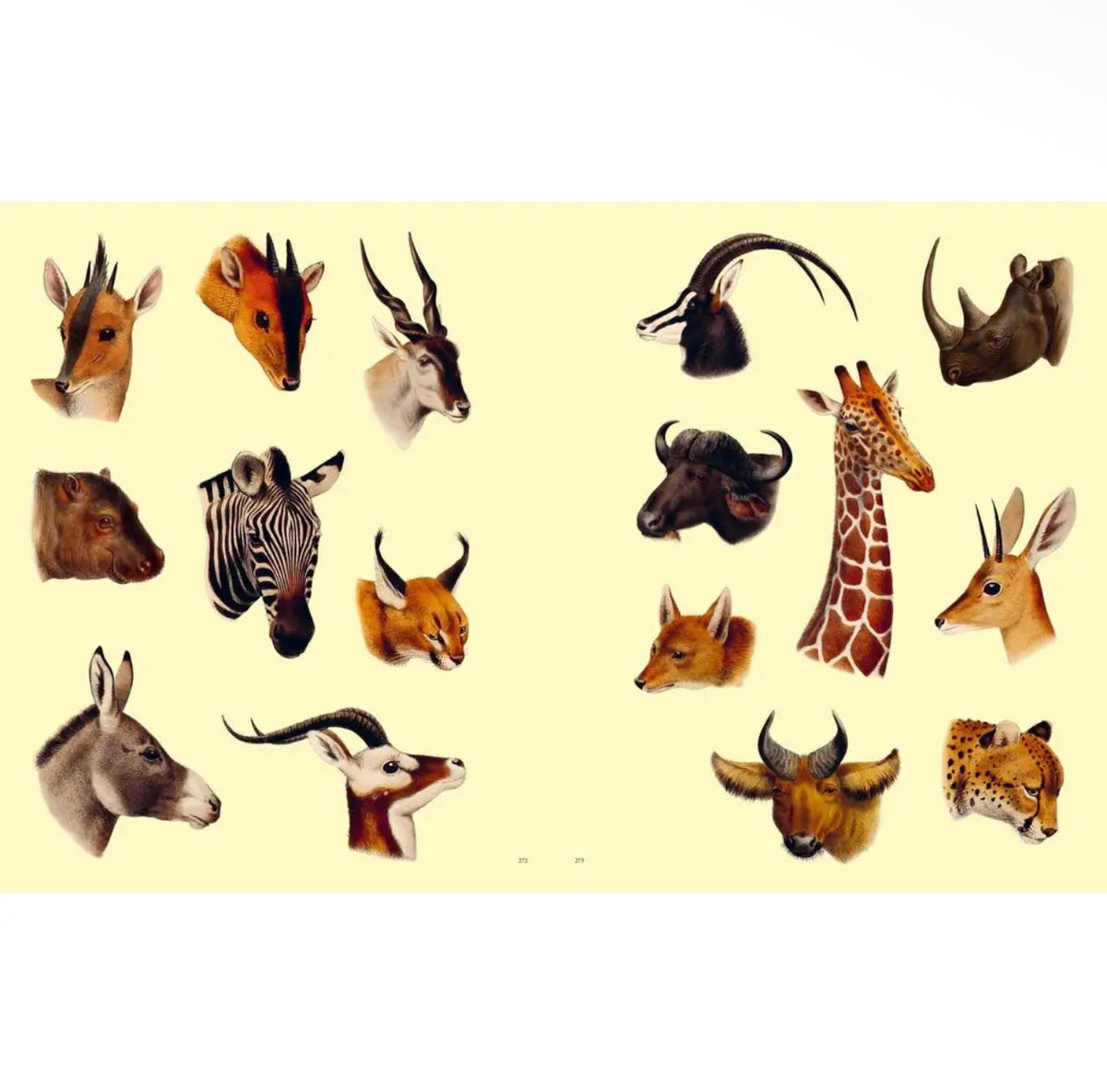 Extraordinary Things Sticker Book