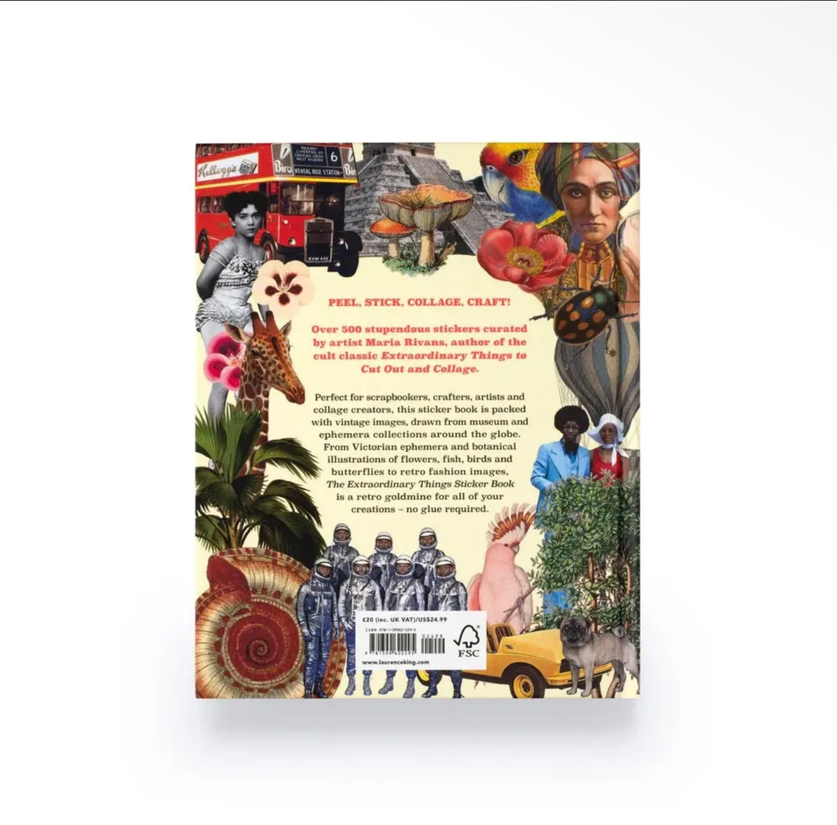Extraordinary Things Sticker Book