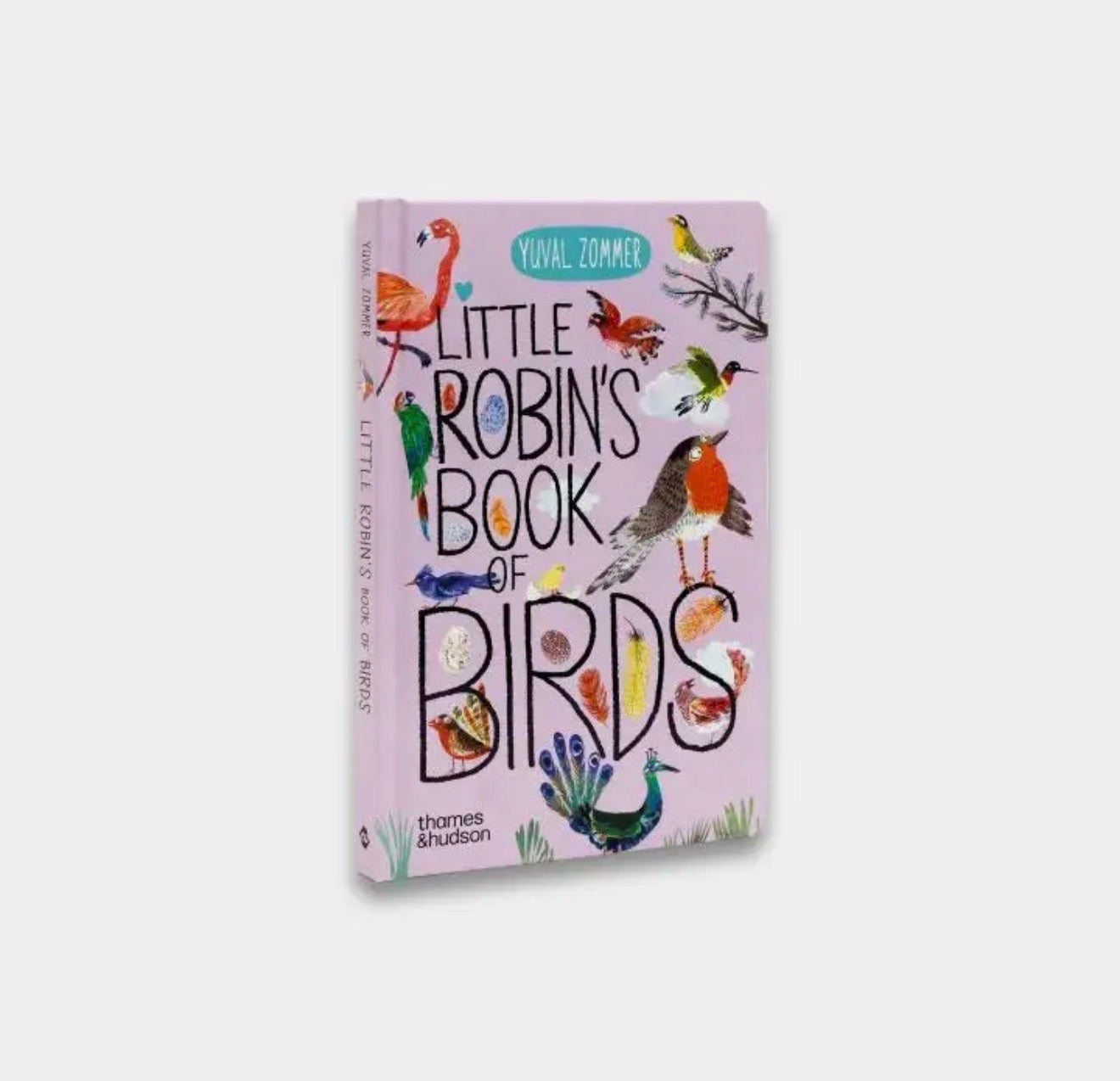 Little Robin's Book of Birds