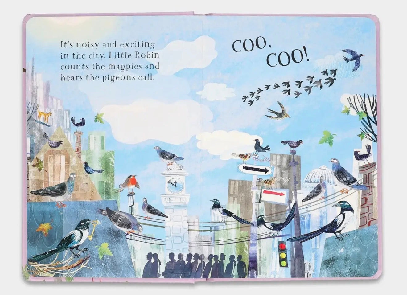 Little Robin's Book of Birds