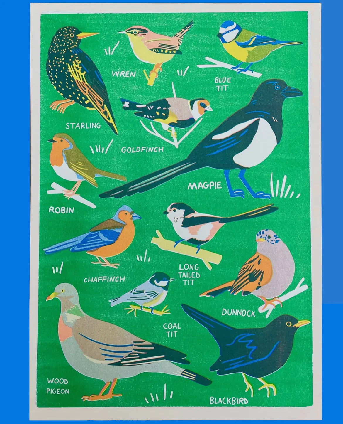 Garden Bird A3 Riso Print