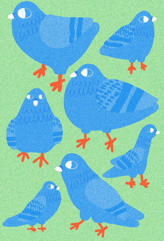 City Pigeons Print