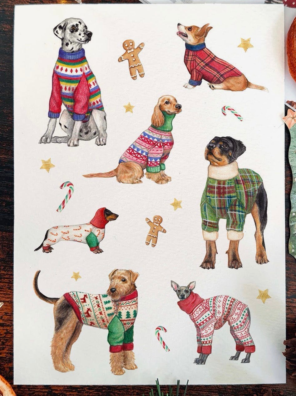 Dogs Wearing Christmas Jumpers Card