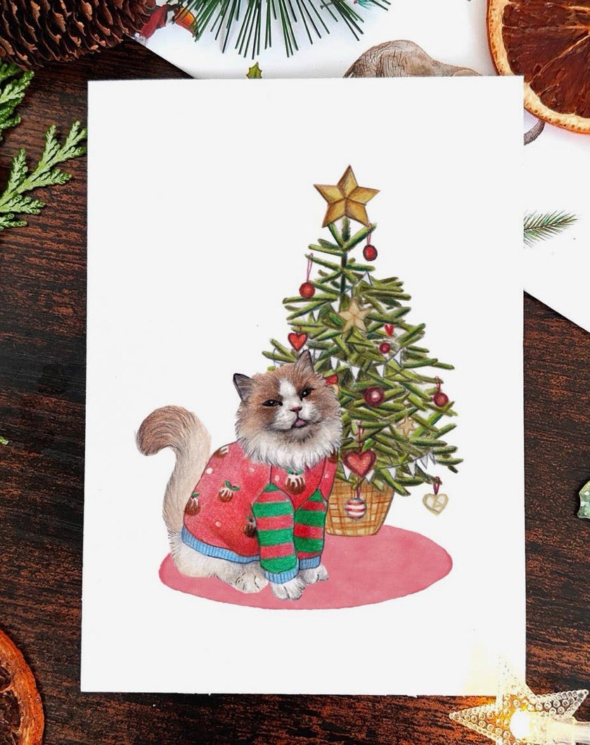Cats in Jumpers Christmas Card