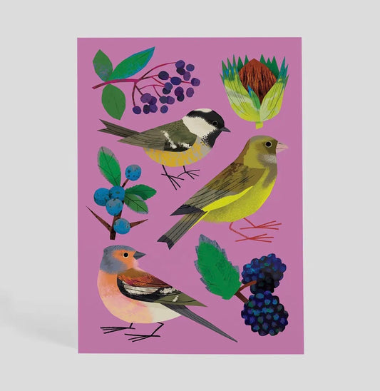Feasting on the Hedgerows Postcard