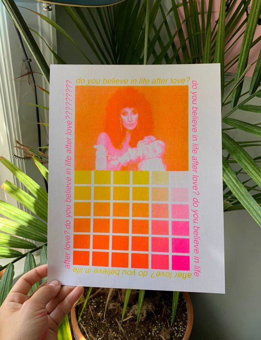 Cher Colour Chart Riso Print